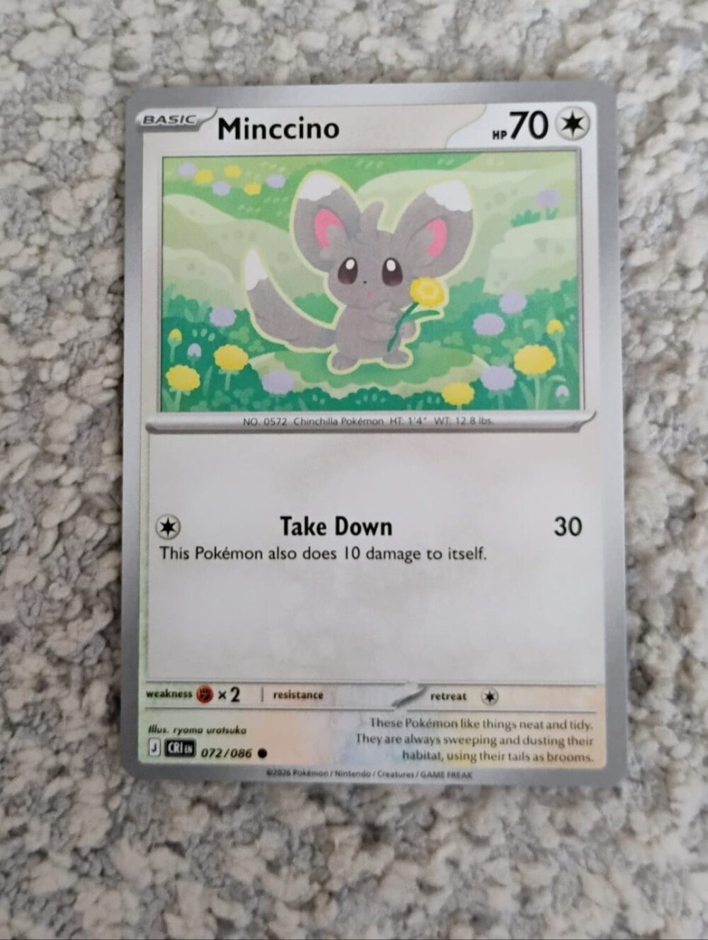POKEMON TCG Card Minccino Chaos Rising 072/086 PZ
